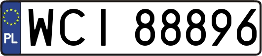 WCI88896