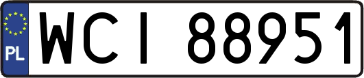 WCI88951