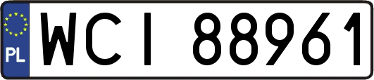 WCI88961