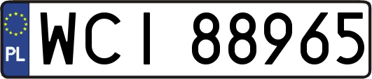 WCI88965