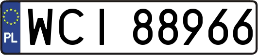 WCI88966