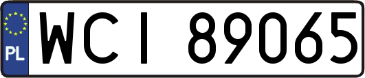 WCI89065