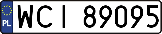 WCI89095