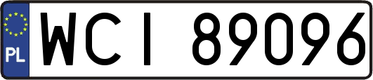 WCI89096
