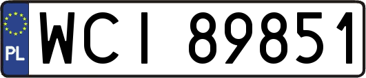 WCI89851