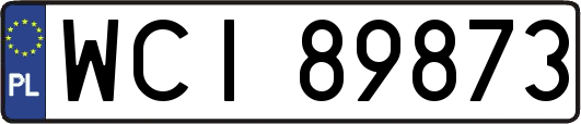 WCI89873