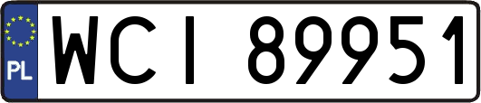 WCI89951