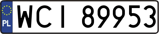 WCI89953