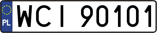 WCI90101