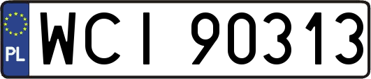 WCI90313