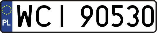 WCI90530