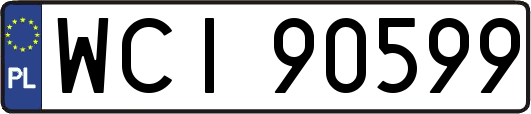 WCI90599