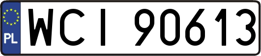 WCI90613