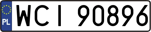 WCI90896