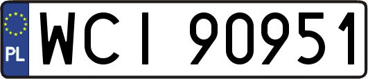 WCI90951