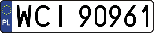 WCI90961