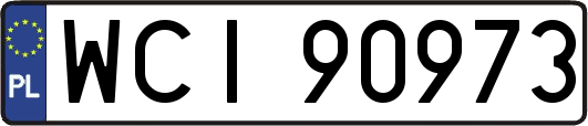 WCI90973