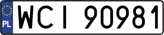 WCI90981
