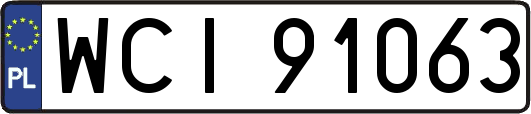 WCI91063