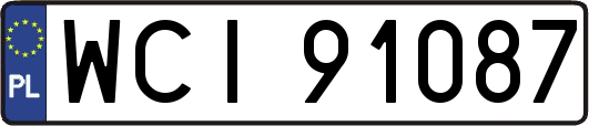 WCI91087
