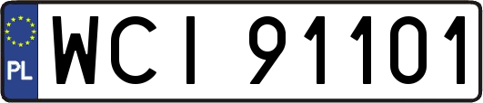 WCI91101