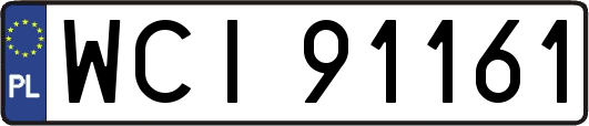WCI91161