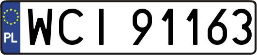 WCI91163