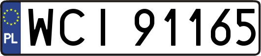WCI91165
