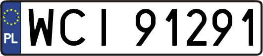 WCI91291