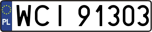 WCI91303