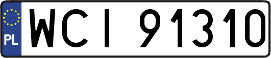 WCI91310