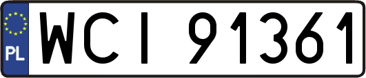 WCI91361
