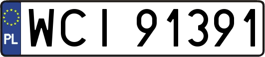 WCI91391