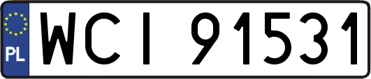 WCI91531