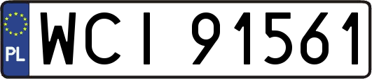 WCI91561