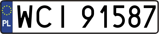 WCI91587