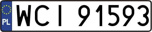 WCI91593