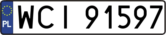 WCI91597