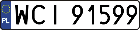 WCI91599
