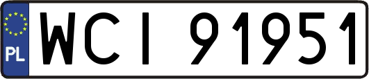 WCI91951