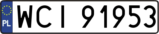 WCI91953