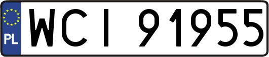 WCI91955