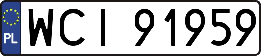 WCI91959