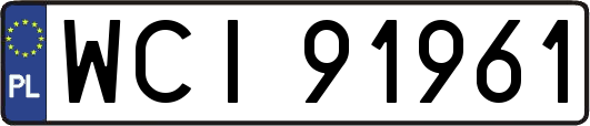 WCI91961