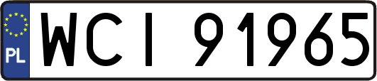 WCI91965