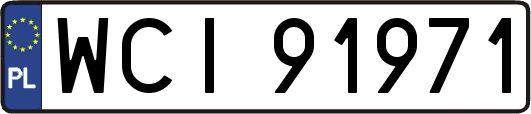 WCI91971