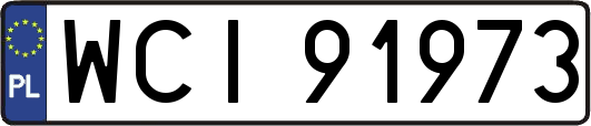 WCI91973