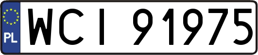 WCI91975
