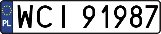 WCI91987