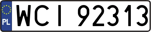 WCI92313